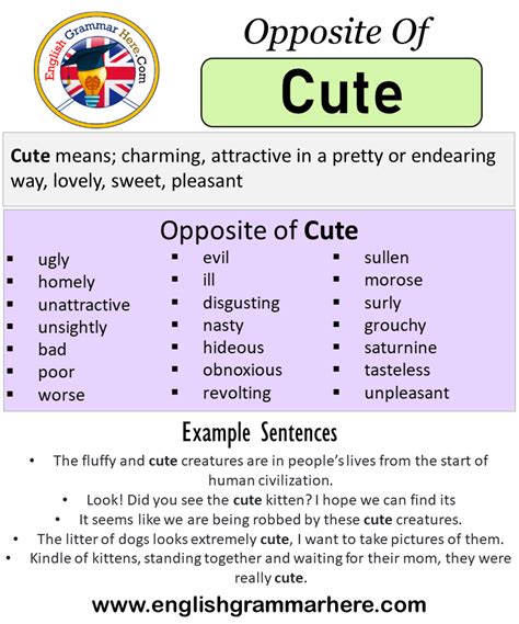 antonyms of cute